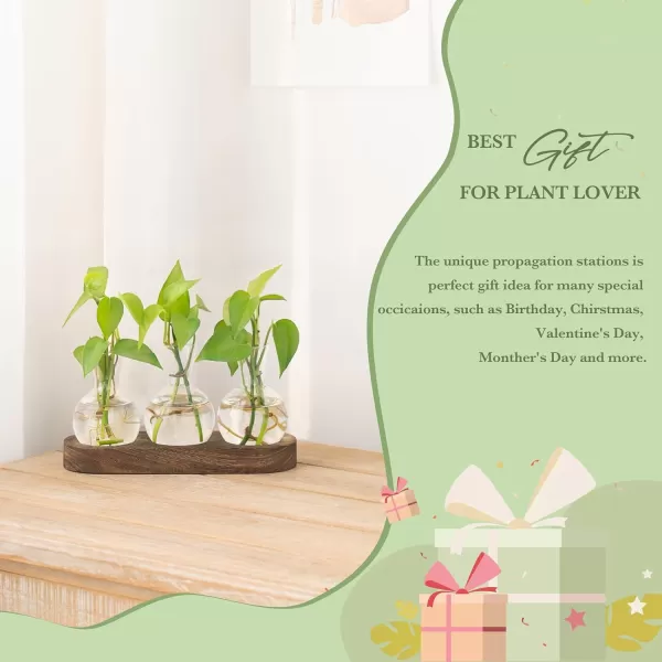 Mkono Desktop Plant Propagation Station Glass Planter Terrarium with Wooden Tray Bulb Flower Vase Perfect for Propagating Hydroponic Plants Home Office Decor Plant Lover Gift IdeaBrown