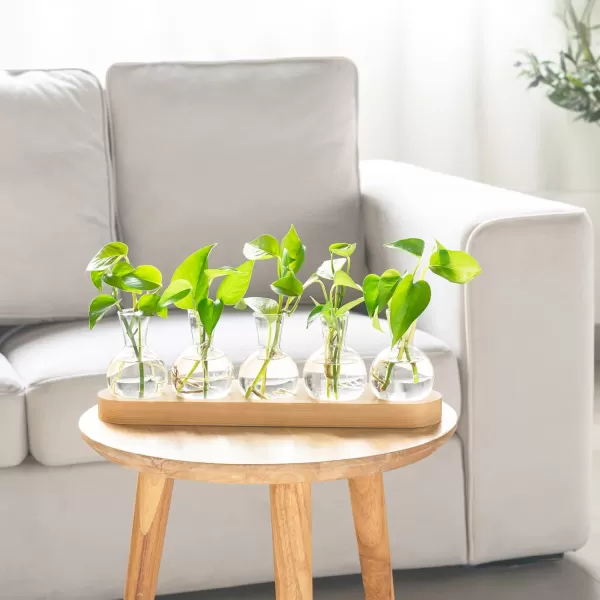 Mkono Desktop Plant Propagation Station Glass Planter Terrarium with Wooden Tray Bulb Flower Vase Perfect for Propagating Hydroponic Plants Home Office Decor Plant Lover Gift IdeaBeige