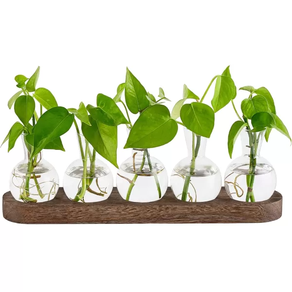 Mkono Desktop Plant Propagation Station Glass Planter Terrarium with Wooden Tray Bulb Flower Vase Perfect for Propagating Hydroponic Plants Home Office Decor Plant Lover Gift IdeaBrown