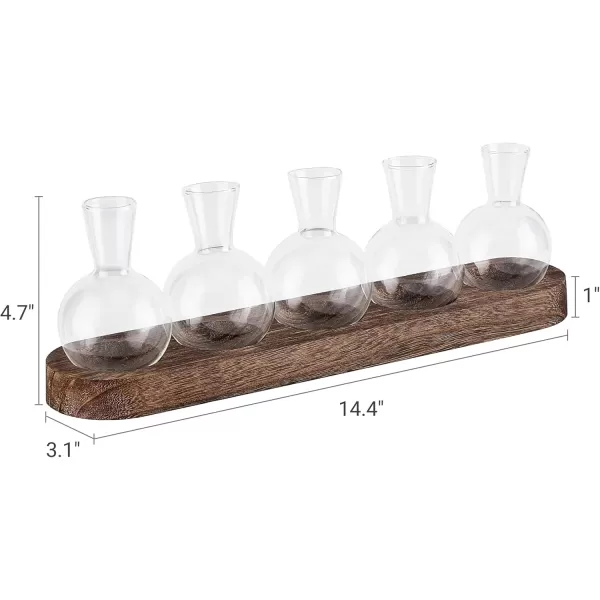 Mkono Desktop Plant Propagation Station Glass Planter Terrarium with Wooden Tray Bulb Flower Vase Perfect for Propagating Hydroponic Plants Home Office Decor Plant Lover Gift IdeaBrown