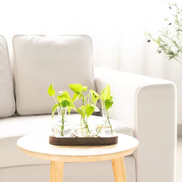 Mkono Desktop Plant Propagation Station Glass Planter Terrarium with Wooden Tray Bulb Flower Vase Perfect for Propagating Hydroponic Plants Home Office Decor Plant Lover Gift IdeaBrown