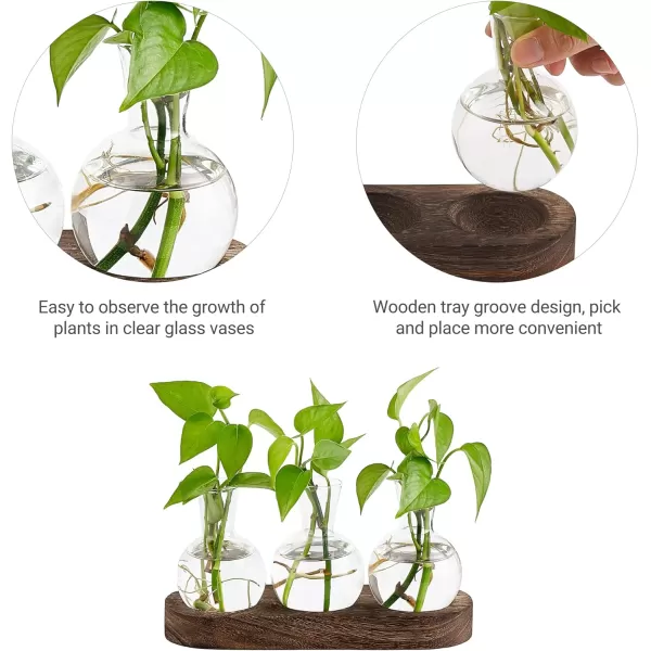 Mkono Desktop Plant Propagation Station Glass Planter Terrarium with Wooden Tray Bulb Flower Vase Perfect for Propagating Hydroponic Plants Home Office Decor Plant Lover Gift IdeaBrown