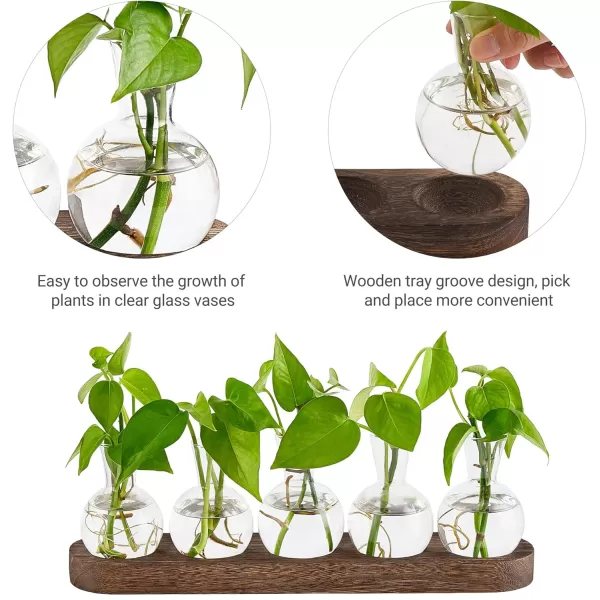 Mkono Desktop Plant Propagation Station Glass Planter Terrarium with Wooden Tray Bulb Flower Vase Perfect for Propagating Hydroponic Plants Home Office Decor Plant Lover Gift IdeaBrown