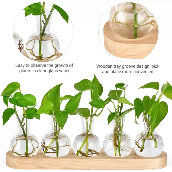 Mkono Desktop Plant Propagation Station Glass Planter Terrarium with Wooden Tray Bulb Flower Vase Perfect for Propagating Hydroponic Plants Home Office Decor Plant Lover Gift IdeaBeige