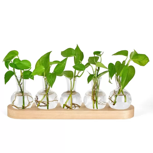 Mkono Desktop Plant Propagation Station Glass Planter Terrarium with Wooden Tray Bulb Flower Vase Perfect for Propagating Hydroponic Plants Home Office Decor Plant Lover Gift IdeaBeige