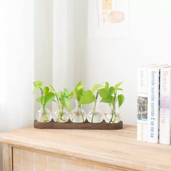 Mkono Desktop Plant Propagation Station Glass Planter Terrarium with Wooden Tray Bulb Flower Vase Perfect for Propagating Hydroponic Plants Home Office Decor Plant Lover Gift IdeaBrown