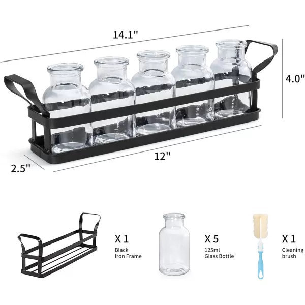 Mkono Propagation Stations with Metal Stand Desktop Plant Terrarium Glass Planter Vase for Hydroponic Plants Flower Cutting Home Office Garden Decor Plant Lover Gifts 5 JarsLarge