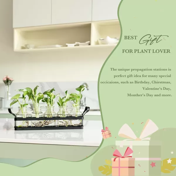 Mkono Propagation Stations with Metal Stand Desktop Plant Terrarium Glass Planter Vase for Hydroponic Plants Flower Cutting Home Office Garden Decor Plant Lover Gifts 5 JarsLarge