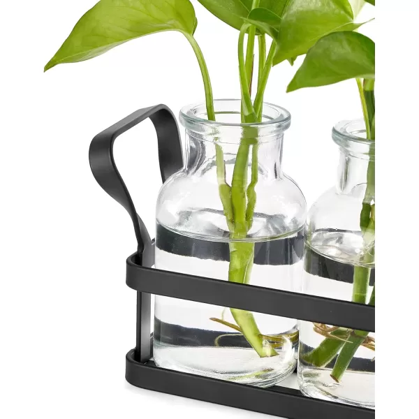 Mkono Propagation Stations with Metal Stand Desktop Plant Terrarium Glass Planter Vase for Hydroponic Plants Flower Cutting Home Office Garden Decor Plant Lover Gifts 5 JarsMedium