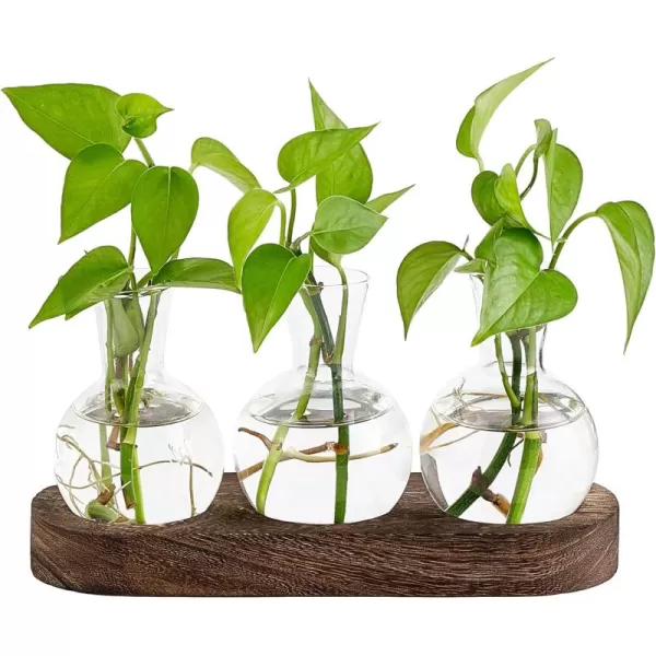 Mkono Desktop Plant Propagation Station Glass Planter Terrarium with Wooden Tray Bulb Flower Vase Perfect for Propagating Hydroponic Plants Home Office Decor Plant Lover Gift IdeaBrown