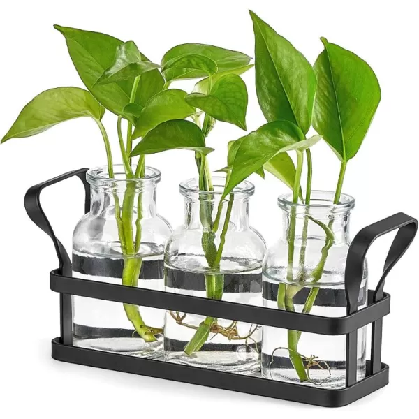 Mkono Propagation Stations with Metal Stand Desktop Plant Terrarium Glass Planter Vase for Hydroponic Plants Flower Cutting Home Office Garden Decor Plant Lover Gifts 5 JarsMedium