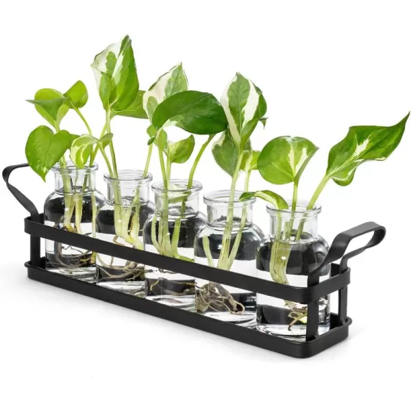 Mkono Propagation Stations with Metal Stand Desktop Plant Terrarium Glass Planter Vase for Hydroponic Plants Flower Cutting Home Office Garden Decor Plant Lover Gifts 5 JarsLarge