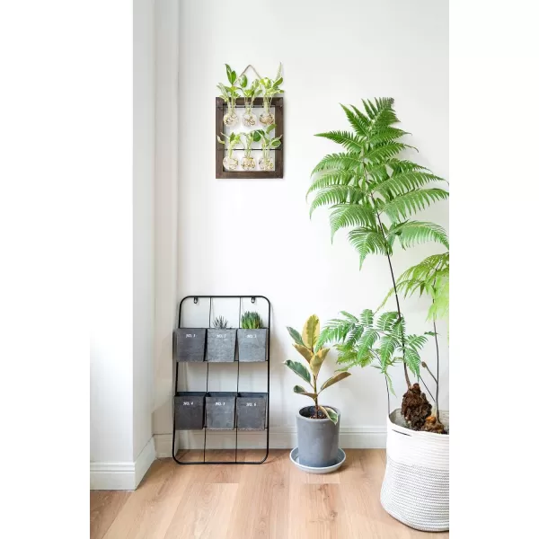 Mkono Propagation Station Wall Hanging Glass Planter Flower Bulb Vase Plant Terrarium with Retro Wooden Stand Double Layer for Hydroponics Plants Home Garden Office Decor