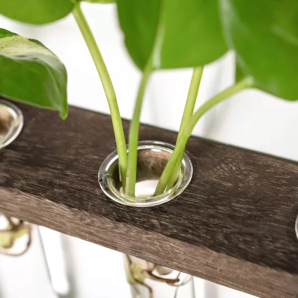 Mkono Plant Propagation Tubes 3 Tiered Wall Hanging Terrarium with Wooden Stand Mini Test Tube Flower Vase Glass Planter Stations for Hydroponic Cutting Home Garden Office Decor Plant Lover GiftBrown