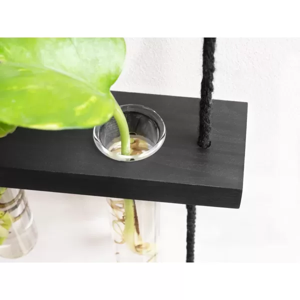 Mkono Plant Propagation Tubes 3 Tiered Wall Hanging Terrarium with Wooden Stand Mini Test Tube Flower Vase Glass Planter Stations for Hydroponic Cutting Home Garden Office Decor Plant Lover GiftBlack