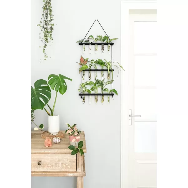 Mkono Plant Propagation Tubes 3 Tiered Wall Hanging Terrarium with Wooden Stand Mini Test Tube Flower Vase Glass Planter Stations for Hydroponic Cutting Home Garden Office Decor Plant Lover GiftBlack