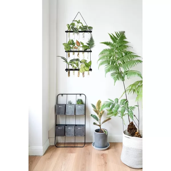Mkono Plant Propagation Tubes 3 Tiered Wall Hanging Terrarium with Wooden Stand Mini Test Tube Flower Vase Glass Planter Stations for Hydroponic Cutting Home Garden Office Decor Plant Lover GiftBlack