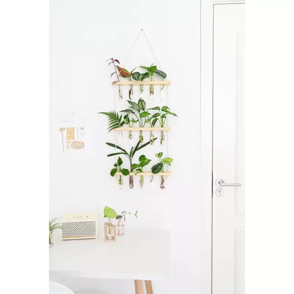 Mkono Plant Propagation Tubes 3 Tiered Wall Hanging Terrarium with Wooden Stand Mini Test Tube Flower Vase Glass Planter Stations for Hydroponic Cutting Home Garden Office Decor Plant Lover GiftBeige