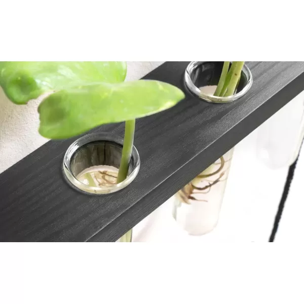 Mkono Plant Propagation Tubes 3 Tiered Wall Hanging Terrarium with Wooden Stand Mini Test Tube Flower Vase Glass Planter Stations for Hydroponic Cutting Home Garden Office Decor Plant Lover GiftBlack