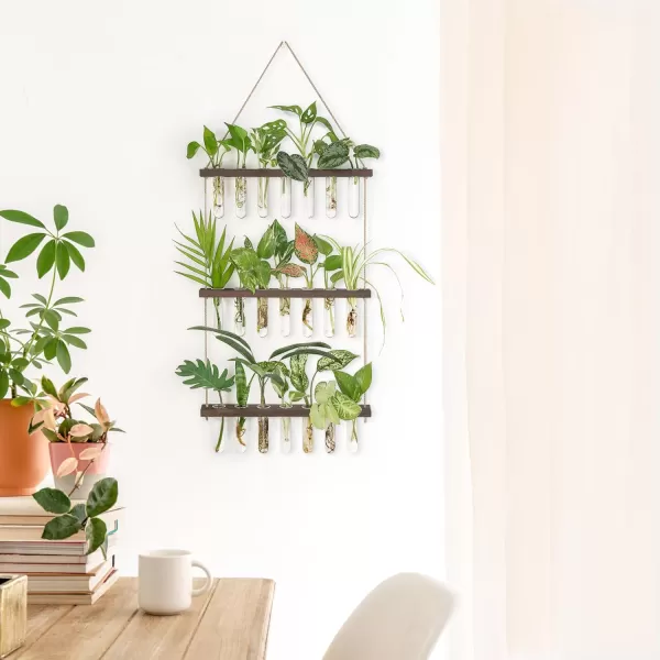 Mkono Plant Propagation Tubes 3 Tiered Wall Hanging Terrarium with Wooden Stand Mini Test Tube Flower Vase Glass Planter Stations for Hydroponic Cutting Home Garden Office Decor Plant Lover GiftBrown