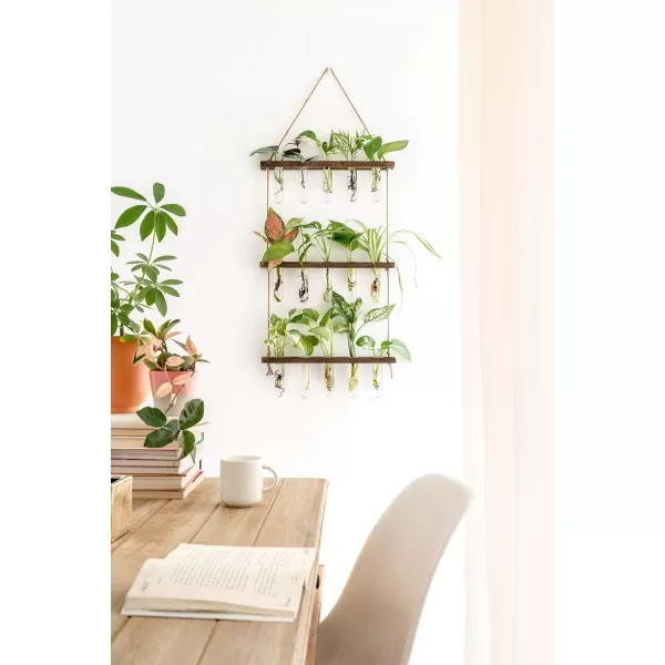 Mkono Plant Propagation Tubes 3 Tiered Wall Hanging Terrarium with Wooden Stand Mini Test Tube Flower Vase Glass Planter Stations for Hydroponic Cutting Home Garden Office Decor Plant Lover GiftBrown