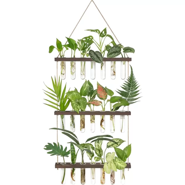 Mkono Plant Propagation Tubes 3 Tiered Wall Hanging Terrarium with Wooden Stand Mini Test Tube Flower Vase Glass Planter Stations for Hydroponic Cutting Home Garden Office Decor Plant Lover GiftBrown