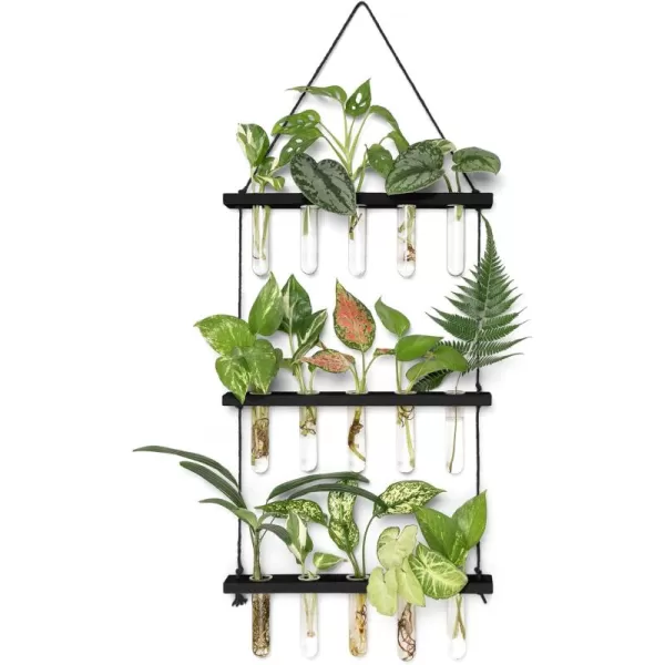 Mkono Plant Propagation Tubes 3 Tiered Wall Hanging Terrarium with Wooden Stand Mini Test Tube Flower Vase Glass Planter Stations for Hydroponic Cutting Home Garden Office Decor Plant Lover GiftBlack