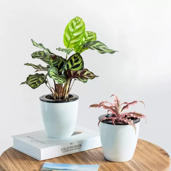 Mkono 3 Pack Self Watering Planter African Violet Pots Plastic White Flower Plant Pot with Wick Rope for All House Plants Flowers Herbs MediumMedium