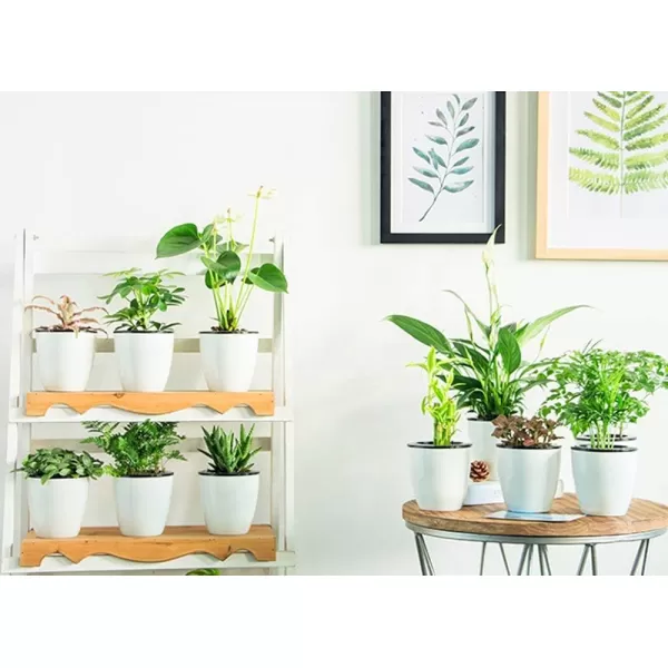 Mkono 3 Pack Self Watering Planter African Violet Pots Plastic White Flower Plant Pot with Wick Rope for All House Plants Flowers Herbs MediumSmall