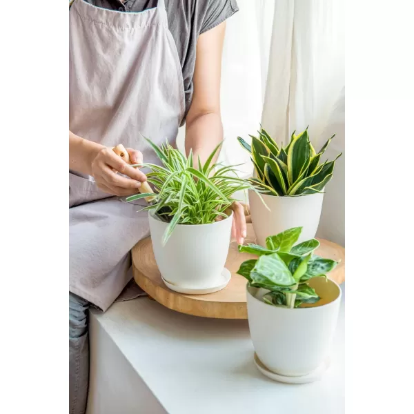 Mkono 65quot Plastic Planters with Saucers Indoor Set of 5 Flower Plant Pots with Drainage for All House Plants Herbs Foliage Plant and Seeding Nursery Cream WhiteCream White