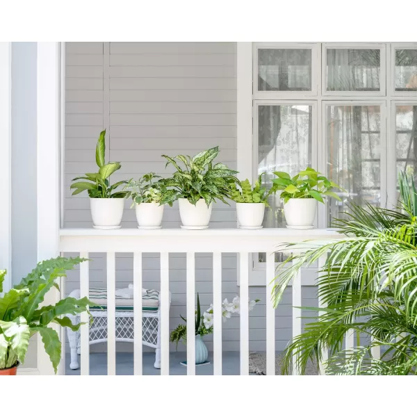 Mkono 65quot Plastic Planters with Saucers Indoor Set of 5 Flower Plant Pots with Drainage for All House Plants Herbs Foliage Plant and Seeding Nursery Cream WhiteCream White