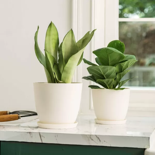 Mkono 65quot Plastic Planters with Saucers Indoor Set of 5 Flower Plant Pots with Drainage for All House Plants Herbs Foliage Plant and Seeding Nursery Cream WhiteCream White