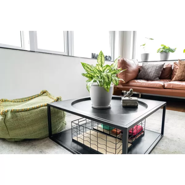 Mkono 65quot Plastic Planters with Saucers Indoor Set of 5 Flower Plant Pots with Drainage for All House Plants Herbs Foliage Plant and Seeding Nursery Cream WhiteGray