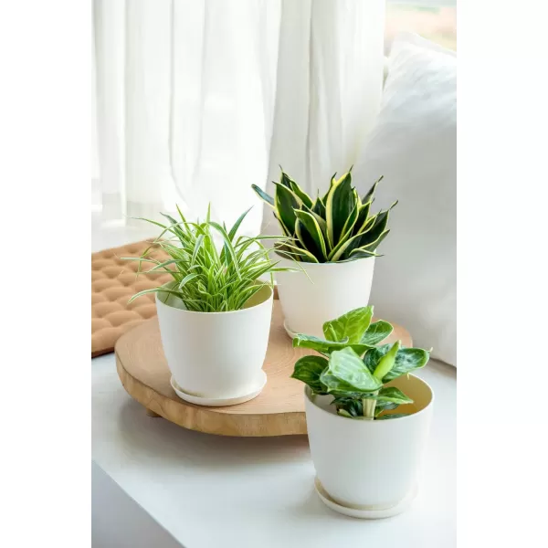 Mkono 65quot Plastic Planters with Saucers Indoor Set of 5 Flower Plant Pots with Drainage for All House Plants Herbs Foliage Plant and Seeding Nursery Cream WhiteCream White
