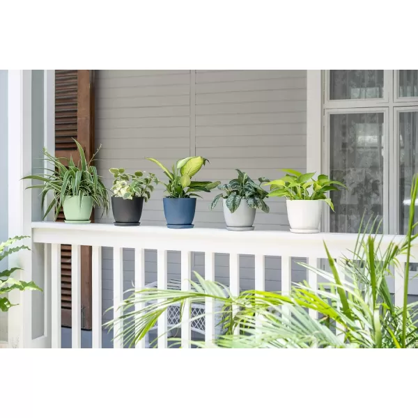 Mkono 65quot Plastic Planters with Saucers Indoor Set of 5 Flower Plant Pots with Drainage for All House Plants Herbs Foliage Plant and Seeding Nursery Cream WhiteMulticolor