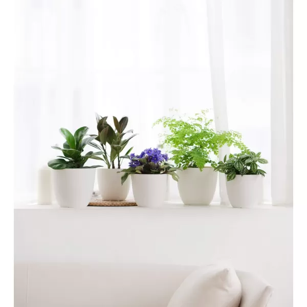 Mkono 65quot Plastic Planters with Saucers Indoor Set of 5 Flower Plant Pots with Drainage for All House Plants Herbs Foliage Plant and Seeding Nursery Cream WhiteCream White