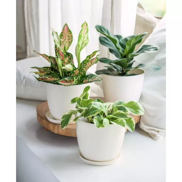 Mkono 65quot Plastic Planters with Saucers Indoor Set of 5 Flower Plant Pots with Drainage for All House Plants Herbs Foliage Plant and Seeding Nursery Cream WhiteCream White