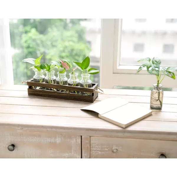 Mkono Desktop Plant Propagation Stations Glass Jars Planter for Hydroponic Plants Centerpiece Indoor Decor Brown Plant Lover GiftsBrown
