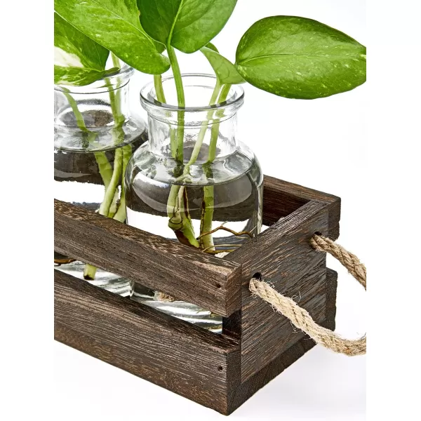 Mkono Desktop Plant Propagation Stations Glass Jars Planter for Hydroponic Plants Centerpiece Indoor Decor Brown Plant Lover GiftsBrown