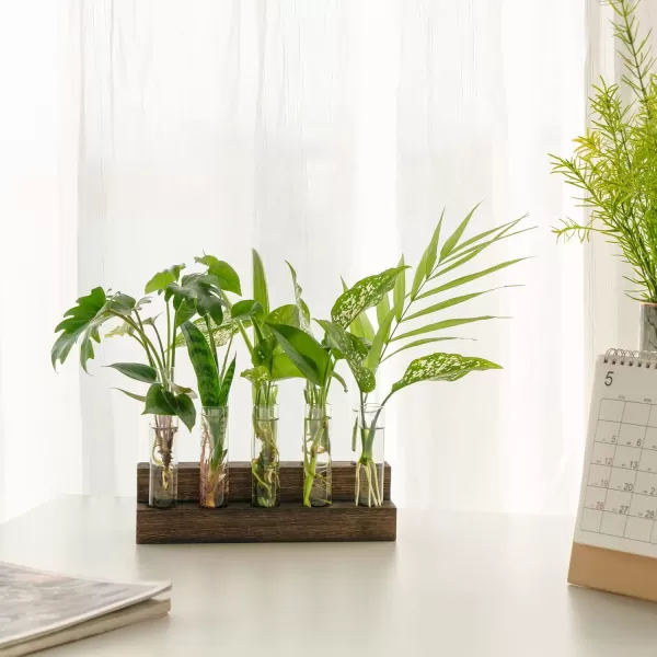 Mkono Desktop Propagation Stations 10 Tubes Retro Terrarium with Wooden Stand Glass Vase Plant Starter Hydroponic for Indoor Decor Brown Plant Lover Gift