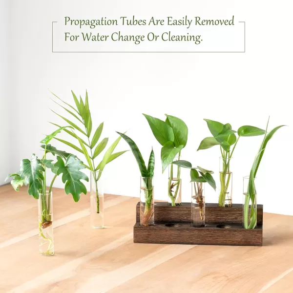Mkono Desktop Propagation Stations 10 Tubes Retro Terrarium with Wooden Stand Glass Vase Plant Starter Hydroponic for Indoor Decor Brown Plant Lover Gift