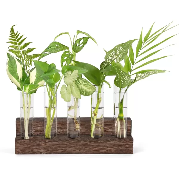 Mkono Desktop Propagation Stations 10 Tubes Retro Terrarium with Wooden Stand Glass Vase Plant Starter Hydroponic for Indoor Decor Brown Plant Lover Gift