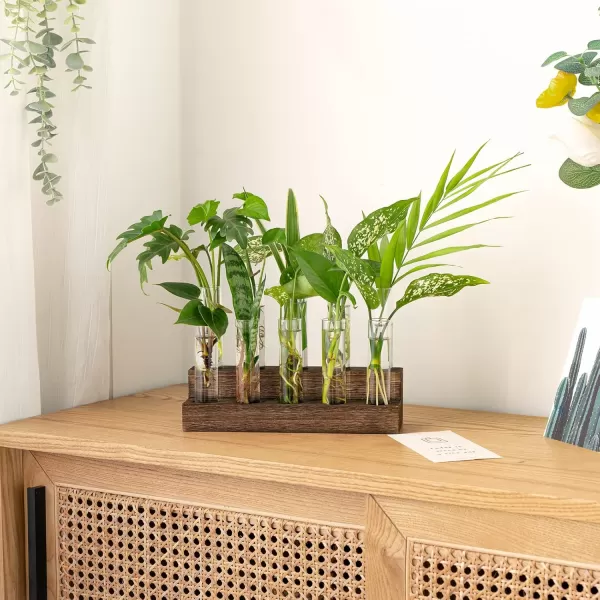 Mkono Desktop Propagation Stations 10 Tubes Retro Terrarium with Wooden Stand Glass Vase Plant Starter Hydroponic for Indoor Decor Brown Plant Lover Gift