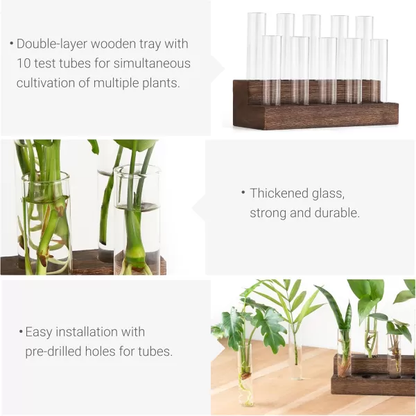 Mkono Desktop Propagation Stations 10 Tubes Retro Terrarium with Wooden Stand Glass Vase Plant Starter Hydroponic for Indoor Decor Brown Plant Lover Gift