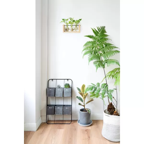 Mkono Plant Propagation Station with Wooden Stand Wall Hanging Glass Planter Tabletop Terrarium Bulb Vase for Hydroponics Plants Home Office DecorBeige