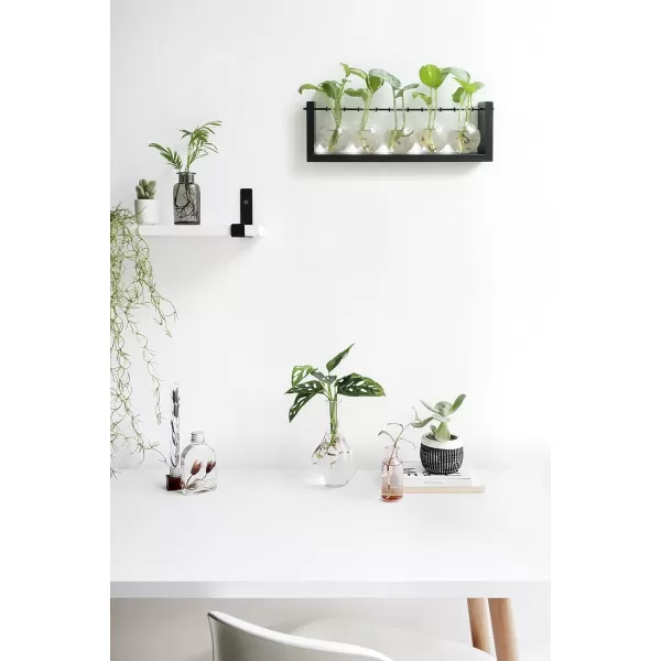 Mkono Plant Propagation Station with Wooden Stand Wall Hanging Glass Planter Tabletop Terrarium Bulb Vase for Hydroponics Plants Home Office DecorBlack