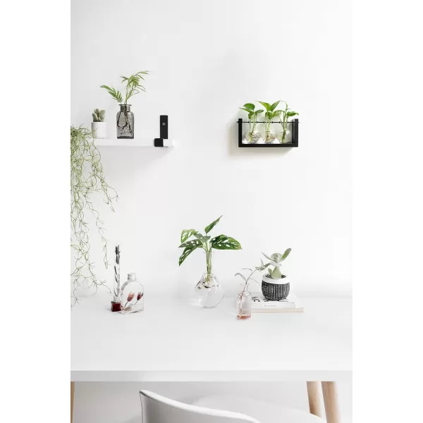 Mkono Plant Propagation Station with Wooden Stand Wall Hanging Glass Planter Tabletop Terrarium Bulb Vase for Hydroponics Plants Home Office DecorBlack