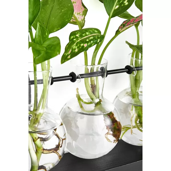 Mkono Plant Propagation Station with Wooden Stand Wall Hanging Glass Planter Tabletop Terrarium Bulb Vase for Hydroponics Plants Home Office DecorBlack