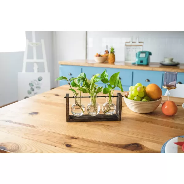 Mkono Plant Propagation Station with Wooden Stand Wall Hanging Glass Planter Tabletop Terrarium Bulb Vase for Hydroponics Plants Home Office DecorBrown