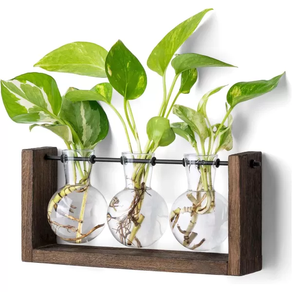 Mkono Plant Propagation Station with Wooden Stand Wall Hanging Glass Planter Tabletop Terrarium Bulb Vase for Hydroponics Plants Home Office DecorBrown